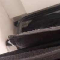 愛称が『ちーたん』の猫、『ピーマンと呼ばれても来る説』を検証した結果…思わずニヤける『可愛い反応』が32万再生「可愛すぎる」「笑った」