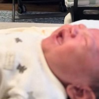 泣き出してしまった赤ちゃん→後ろの方を見てみると、『2匹の猫』が…まさかの光景に5万いいね「目つきが最高ｗｗｗ」「泣いとるなぁって感じ」