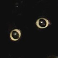 猫用ハウスの中にいる黒猫を呼んでみたら、顔の出し方が…まるで『芸術作品』みたいな光景に3万3000いいね「前衛的ｗｗ」「すべてが良すぎ」