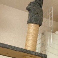 『うっそだろ…』猫が乗らないようにエアコンまわりを封鎖した結果→予想外の『笑っちゃう光景』が２万いいね「壁ジャンプかな」「ドヤ顔ｗ」