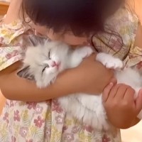 ５歳の女の子に抱っこされまくる保護子猫→嫌がるかと思ったら…信じられないほど尊い『まさかの反応』が16万再生「可愛いの大渋滞ｗ」