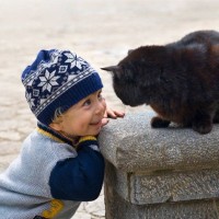 SNSで大人気の「駅猫」駅舎の大規模工事を機にリタイア、隠居生活へ　英国
