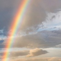 亡くなった猫たちが向かう『虹の橋』ってどんなところ？特徴や由来など、3つの通説
