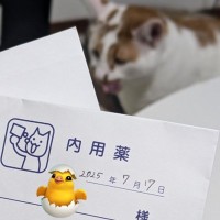 動物病院で処方された猫の抗不安薬→袋の『メモ書き』を見てみたら……予想外の『タイミング』が可愛すぎると379万表示