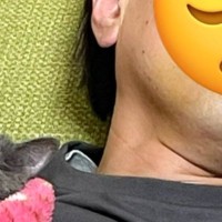 仕事で疲れて寝ていたお父さん→となりを見てみると、『猫』が…幸せあふれる瞬間に「可愛すぎてやばい」「本当の親子みたい」と癒される人が続出