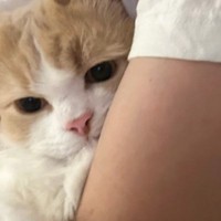 抱っこされている猫の『前足の動き』に胸がギュッ…大好きなパパへの『愛しすぎる仕草』に19万いいね「幸せだね」「たまらんすぎる」と大反響