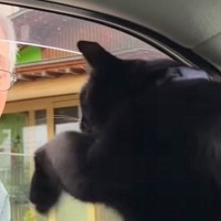 故郷にいるおじいちゃんとの"別れ際"に…猫がとった『まさかの行動』に涙がでると187万再生「健気で泣けた」「大好きなんだね」