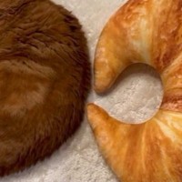 『美味しそうなクロワッサンが二つ並んでいる』と思ったら…まさかの光景が可愛すぎると1399万再生「ええ、素敵」「美味しそうな猫ｗ」