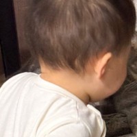 赤ちゃんに近距離で見つめられている猫→『表情』を見てみたら…爆笑必至の『まさかの光景』に7万いいね「本当にたまらん」「ガン詰めしてて草」