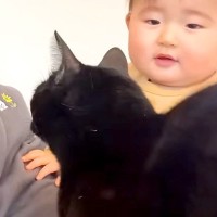 ママが赤ちゃんを抱っこしていると、必ず黒猫がやってきて…あまりにも尊い『まさかの行動』に「可愛いママ争奪戦」「私にも甘えて」と絶賛