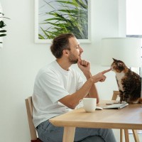 猫を嫌がらせてしまう『嫌われる話し方』4選　悪気はなくても、威嚇だと思われるかも？