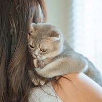 愛猫が『飼い主さんの髪の毛をせっせと舐める』3つの理由　やめさせるには？