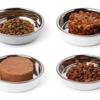 キャットフードに使用されている『添加物』4選　目的は？危険はない？