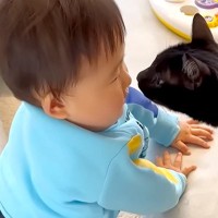 赤ちゃんがグズりそうになると、黒猫が顔を近づけて…尊くてたまらない『素敵な光景』にホッコリ「癒やされた」「本当のお兄ちゃんみたい」