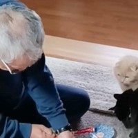 実家に猫たちを預けたら……父が見せた『とんでもないスゴ技』が321万再生「ボスと認められてて爆笑」「お父様すごすぎるｗ」と称賛の声