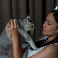 猫を愛しすぎるのも考えもの？『愛猫に依存してしまう飼い主』の問題点4選