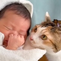 赤ちゃんがお家にやって来たら……猫が見せた『変化の様子』に感動が止まらないと179万再生「愛おしくて泣ける」「可愛すぎて涙」