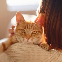 愛猫に『依存されやすい人』の特徴4選　放置すると飼い主さんも困ったことに…
