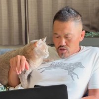 仕事中のお父さんにべったりの猫→『邪魔だなぁ』と言われると……思わず笑っちゃうやり取りの様子が19万再生「言葉分かってて可愛いｗ」