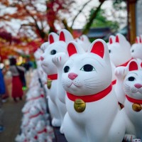 猫好きなら一度は訪れたい『神社・仏閣』4選　猫にまつわる御朱印がいただけるところもご紹介