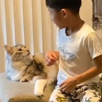 少年が『大型猫』にマッサージをしたら……思わず笑っちゃうやり取りの様子が462万再生「すっごい大きいね」「まるでアニメの世界」