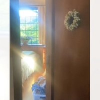 おばあちゃんの部屋を覗くと、2匹の猫がいて……心洗われる『素敵すぎる光景』が194万再生「めっちゃ好きな雰囲気」「なんだか涙が出そう」