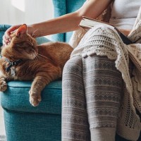猫が『人の椅子に座りたがる』のはなぜ？考えられる3つの理由　愛猫との椅子取りゲームを回避するには？