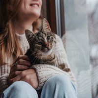 常に狙われている！？猫の秘密結社『NNN』にまつわる5つの秘密　海外にも似た組織の存在が！