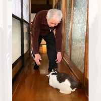 床に座り込んだ『猫』→気づいた『おじいちゃん』が声をかけて…思わず笑みがこぼれる瞬間が123万再生「笑い声が完全に悪魔」「重でぇぇｗ」