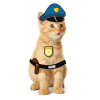 「おとり捜査官」として活躍した猫　その短くも華やかな人生を振り返る　米国