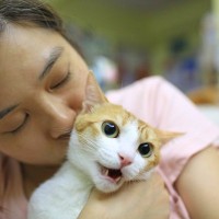 アンタなんか大嫌い！猫が『本気でイヤな人』限定でする4つの行為　そこまで嫌われてしまうのはなぜ？