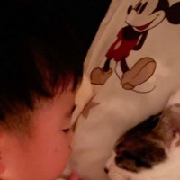 『プール一緒に行こうね』と寝る前、猫に話す男の子…ふたりの手を見てみると？→尊すぎる瞬間に9万いいね「泣ける」「疲れた体に沁みた」