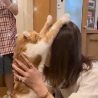 『3日ぶりに帰ってきたママを見て……』再会で見せた『猫の反応』に涙が出てくると647万再生「愛おしすぎて泣ける」「感動の再会」