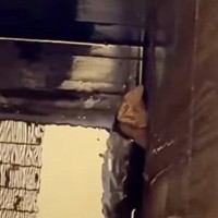 水が張った溝の中から『必死に鳴いていた子猫』→助けようと多くの人が動いて…泣ける光景が128万再生「涙でスマホが見えない」「感動した」