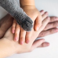 猫の飼い主さんが『愛猫に育っててもらっているな』と感じる5つのこと　猫がいるおかげで起きたいい変化とは？