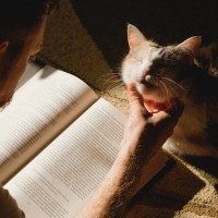 愛猫を亡くした時の『ペットロス』痛みを少しでも癒すためにできる3つのセルフケア