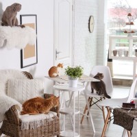 『保護猫カフェ・猫カフェ』でやってはいけない迷惑行為3選　守るべきルールも紹介