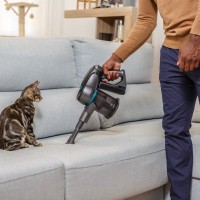 猫の『抜け毛』が集まりやすい、お掃除すべきスポット6選　猫毛掃除がうまくいくコツも