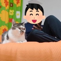 『ママ不在の日』に……パパには普段『塩対応な猫』が見せた→まさかの行動に「可愛すぎて笑っちゃった」「良かったねｗ」と10万再生の反響