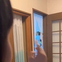 猫が『半年ぶりに帰ってきた次女』を見た結果…まさかのリアクションに感動が止まらないと35万再生「覚えてるんだね」「大好きなのが伝わる」