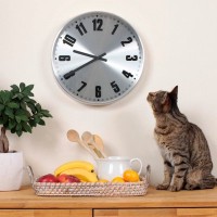 猫の『食性』に関する4つの知っておくべき話　理想の食事、温度や味の好みは？