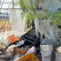 猛暑日に『ゴミ置き場に子猫が捨てられている』と連絡がきて→急いで向かったら…まさかの光景に「涙が出た」「本当にありがとう」と8万再生