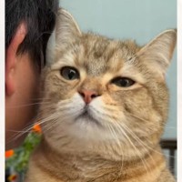 久しぶりに帰ってきたお兄ちゃんに……思い出した猫が見せた『愛おしすぎる行動』が話題に　「もうすべてが可愛い」「帰れなくなるねｗ」