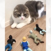 段々と接近してくる『ゾンビのおもちゃ』に、猫が…思わず笑うシュールな光景が１億再生突破「トイストーリーｗ」「可愛いリアクションｗ」