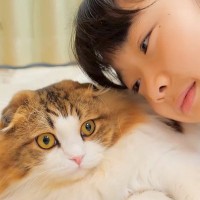 小学校に登校する前の女の子→猫が支度を見守っていて…あまりにも尊い『毎朝の光景』が36万再生「私もパワーもらった」「世界一優しい猫」