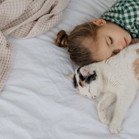 猫が『飼い主さんのお布団』で寝たがるのはなぜ？考えられる4つの理由
