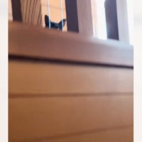 「可愛すぎるサプライズ」夜勤明けで疲れて帰宅したパパ→階段を上ったら…『2匹の黒猫』が見せた行動に「あまりにも尊い」「素敵」と32万再生