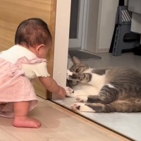 ハイハイしていた赤ちゃんが急に立ち上がった結果…猫の『まさかの反応』が414万再生「マジかみたいな顔ｗｗ」「感情出すぎｗｗ」と大反響