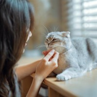 猫と飼い主さんが『一緒に健康になれる』5つの行為　猫のおかげで身も心も元気に？