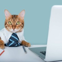 時の首相より猫のほうが活躍していた！？労働組合に貢献（？）した猫たち　英国